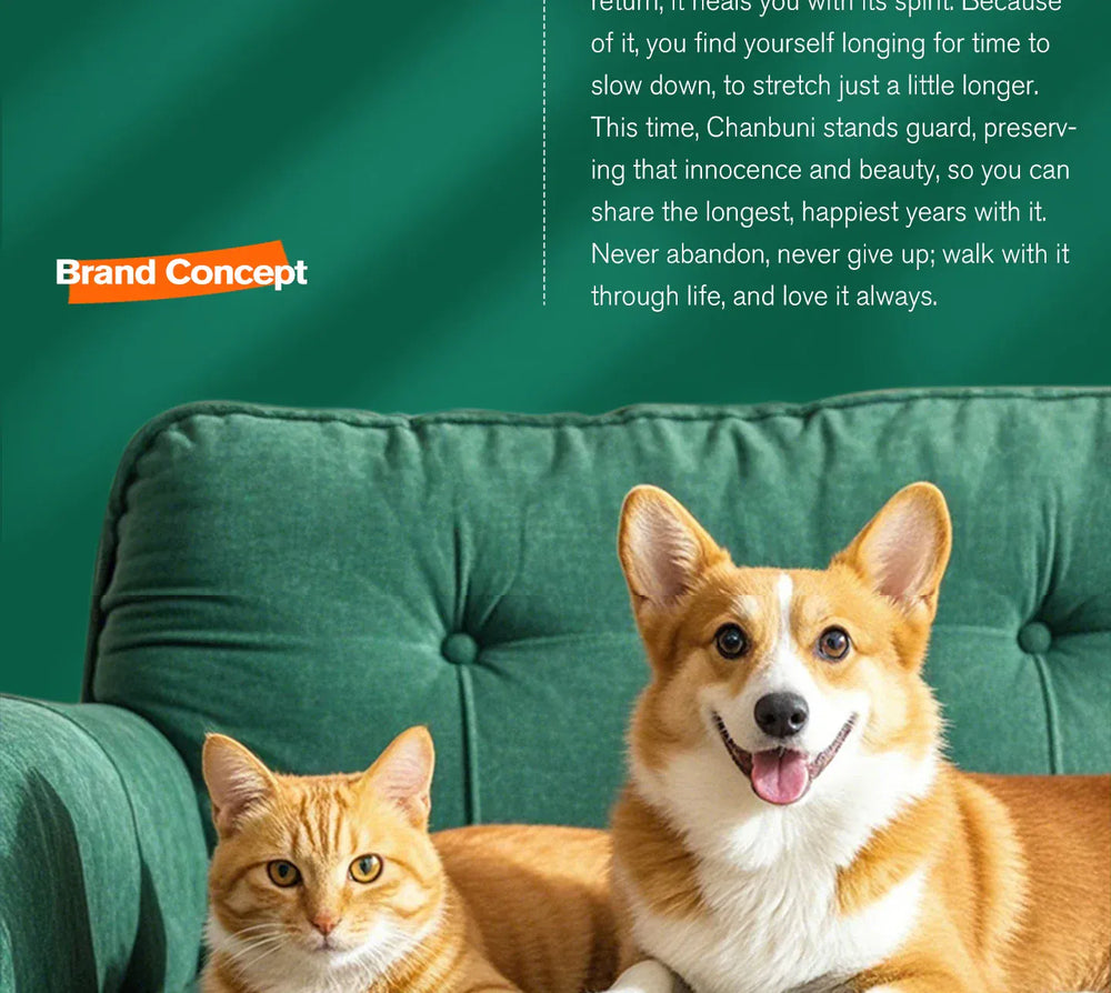 Chanbuni Premium Baked Cat Food | Chicken & Rabbit Recipe | Complete Nutrition for All Cat Breeds