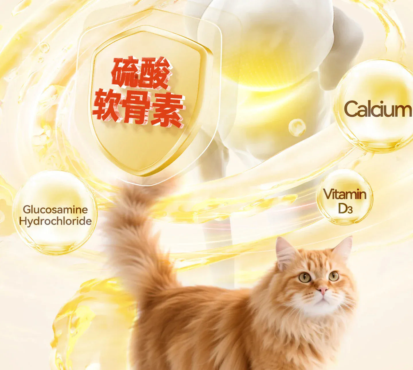 Chanbuni Premium Baked Cat Food | Chicken & Rabbit Recipe | Complete Nutrition for All Cat Breeds