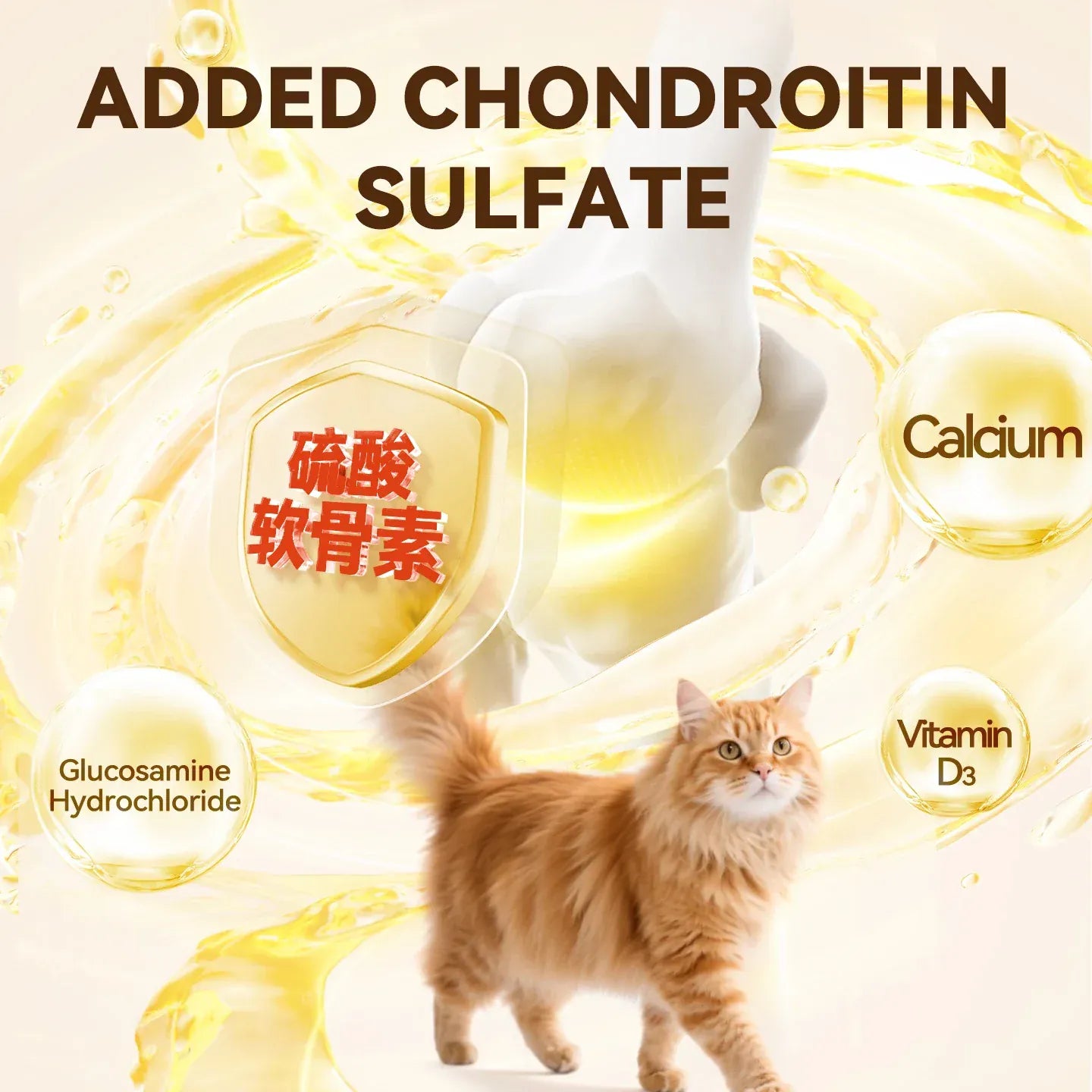 Chanbuni Premium Baked Cat Food | Chicken & Rabbit Recipe | Complete Nutrition for All Cat Breeds