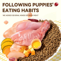 Chanbuni Premium Baked Cat Food | Chicken & Rabbit Recipe | Complete Nutrition for All Cat Breeds