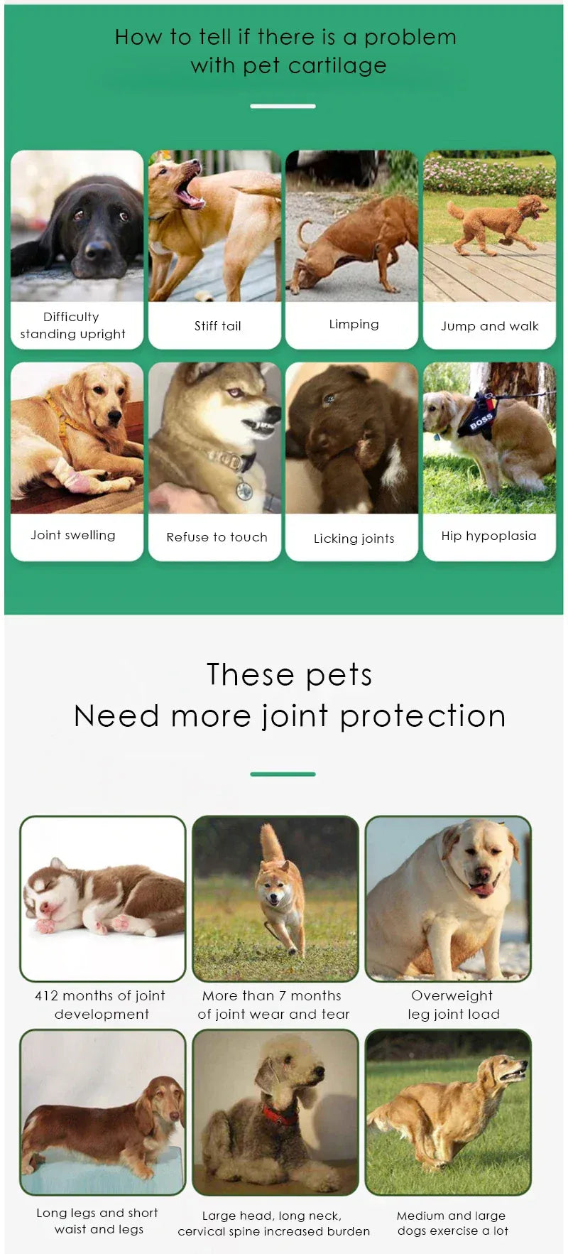 Chondroitin Tablets for Dogs - Joint Support Supplement for Senior Dogs, 200 Count Glucosamine & MSM for Hip & Joint Health