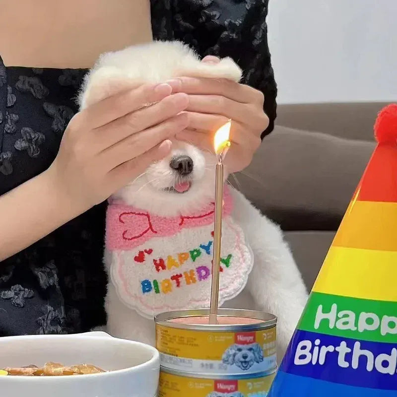 Cute Puppy & Kitten Birthday Hat & Scarf | Dog & Cat Party Outfit | Pet Birthday Accessories