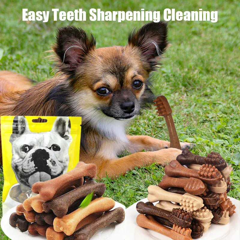 Dog Bruxism Toothbrush Bone Treats | Healthy Dental Chews for Puppies & Adult Dogs | Natural Nutrition & Training Rewards