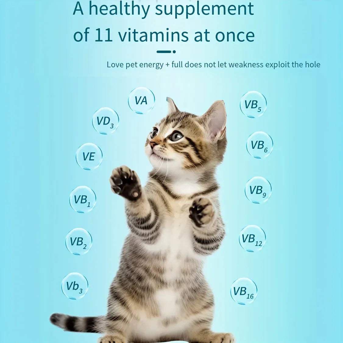 Dog & Cat Multivitamin 200 Tablets - Complete Daily Vitamins for All Life Stages, Senior & Puppy Supplement with Essential Nutrients