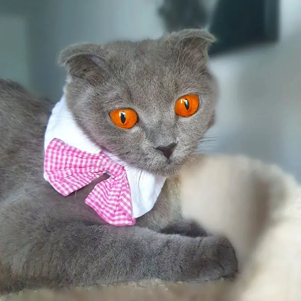 Dog Cat Tuxedo Collar - Wedding Bow Tie Pet Accessory for Special Occasions
