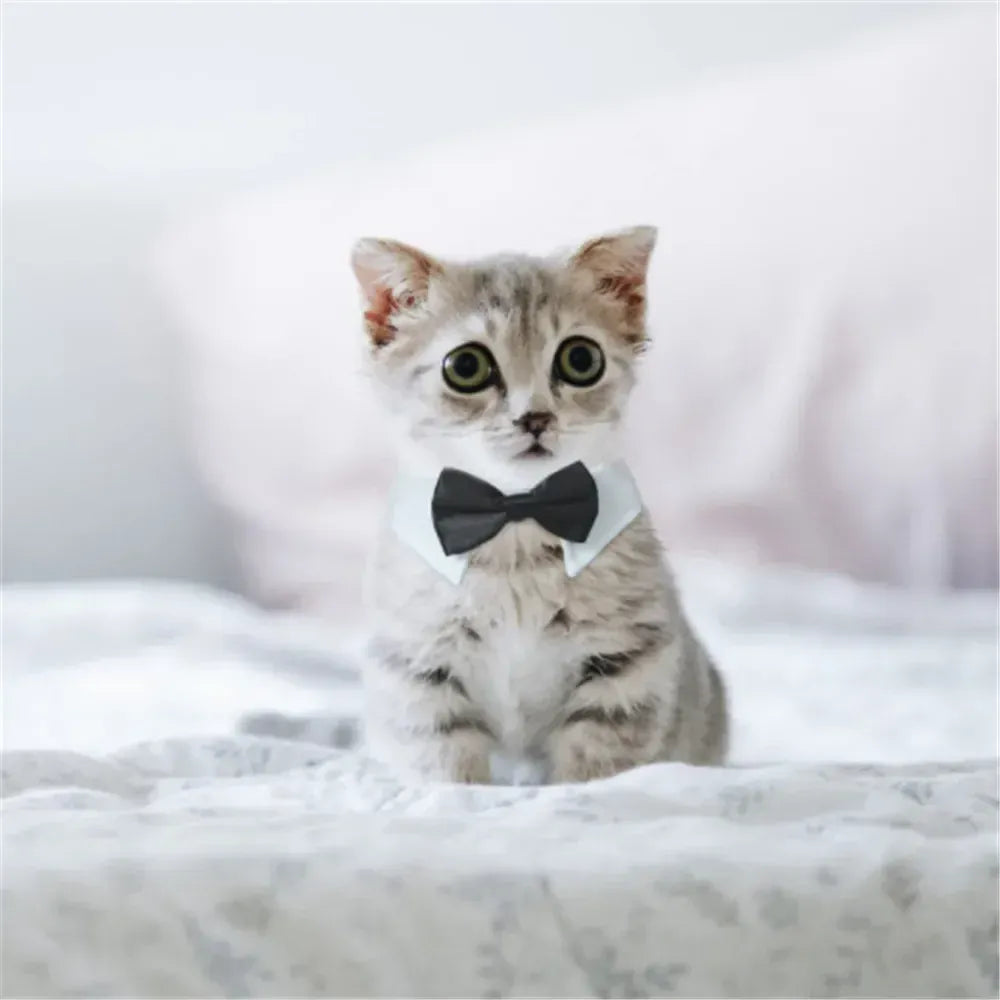 Dog Cat Tuxedo Collar - Wedding Bow Tie Pet Accessory for Special Occasions