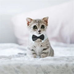 Dog Cat Tuxedo Collar - Wedding Bow Tie Pet Accessory for Special Occasions