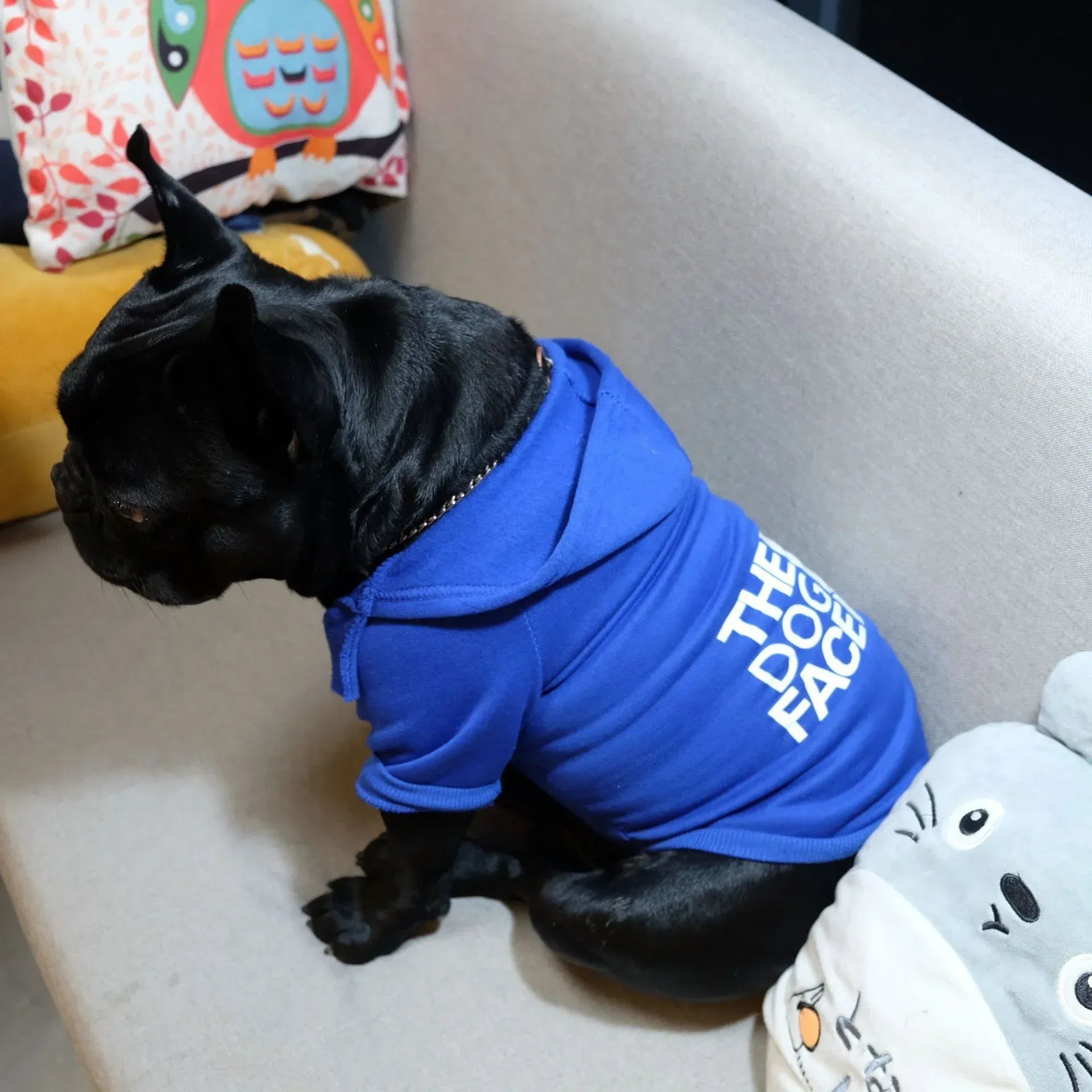Dog Face Hoodie - All-Season Pet Apparel for Small to Giant Breeds