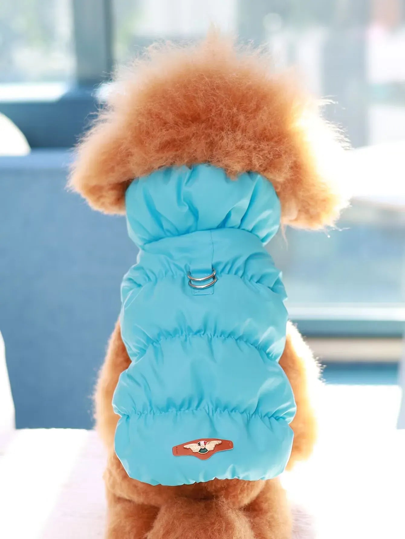 Dog Jacket for Autumn & Winter | 3-Layer Thick Warm Coat for Small & Medium Dogs – Poodle, Teddy, Yorkie Outerwear