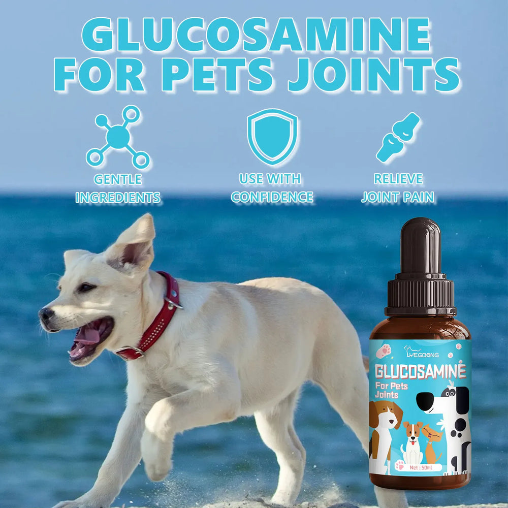 Dog Joint Glucosamine Drops | Hip & Joint Relief Supplement for Dogs | Arthritis & Mobility Support | Bone Strength & Pain Relief Liquid (50ml)