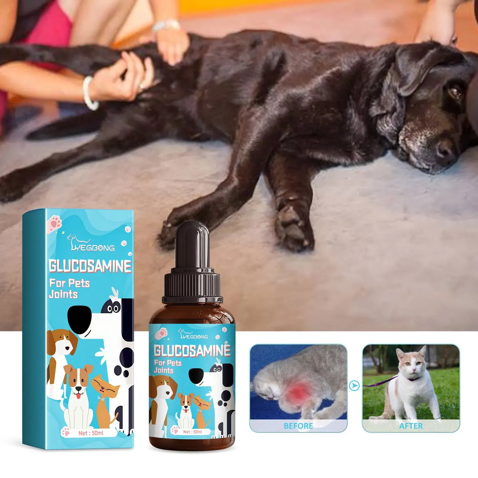Dog Joint Glucosamine Drops | Hip & Joint Relief Supplement for Dogs | Arthritis & Mobility Support | Bone Strength & Pain Relief Liquid (50ml)