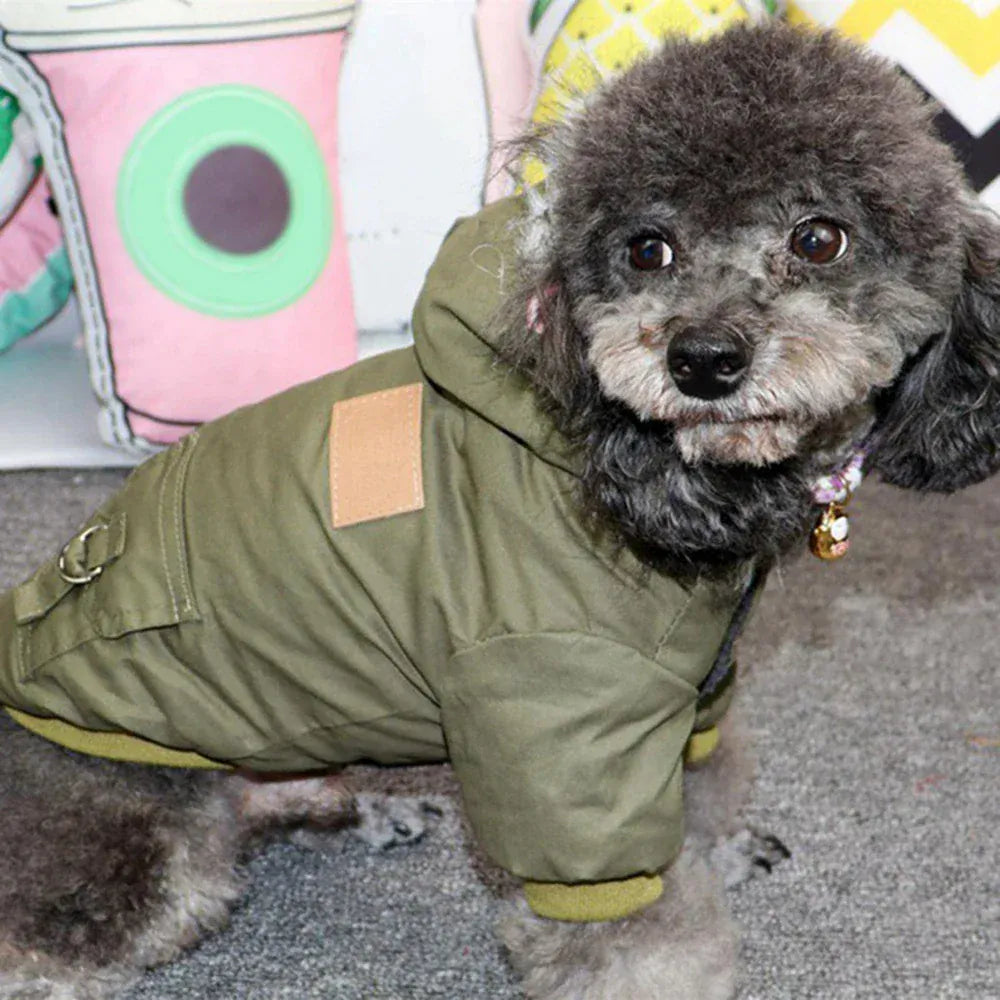 Dog Outdoor HikiDog Outdoor Autumn Winter Warm Hoodie Coat – Fashionable Pet Jacket for Small & Medium DogsAutumn Winter Warm Clothes With Hoodie Fashionable Design Coats Comfortable Polyester Cotton Jacket for Petng
