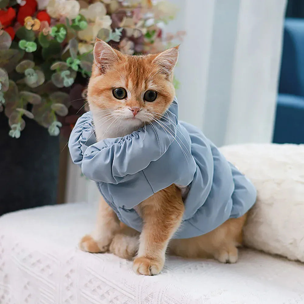 Dog Winter Coat Vest - Padded Jacket for Small Dogs & Cats
