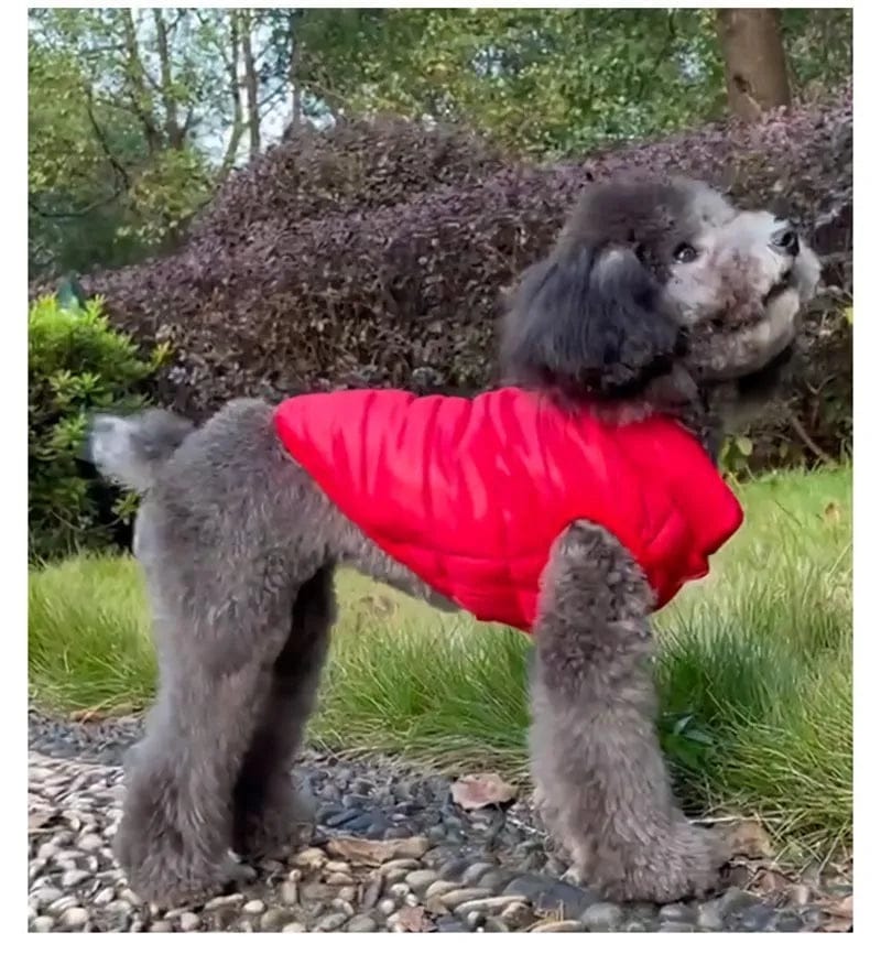 Double-Sided Dog Coat | Winter Warm Pet Vest for Small & Medium Dogs – Soft Puppy Clothes & Chihuahua Outfit