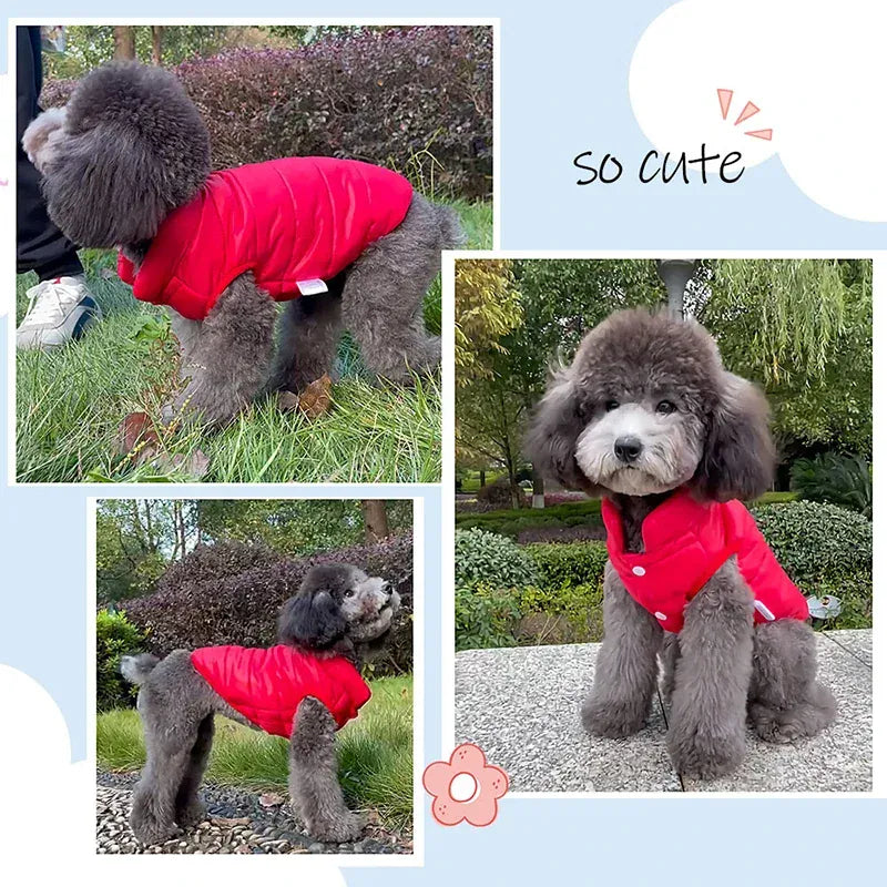 Double-Sided Dog Coat | Winter Warm Pet Vest for Small & Medium Dogs – Soft Puppy Clothes & Chihuahua Outfit