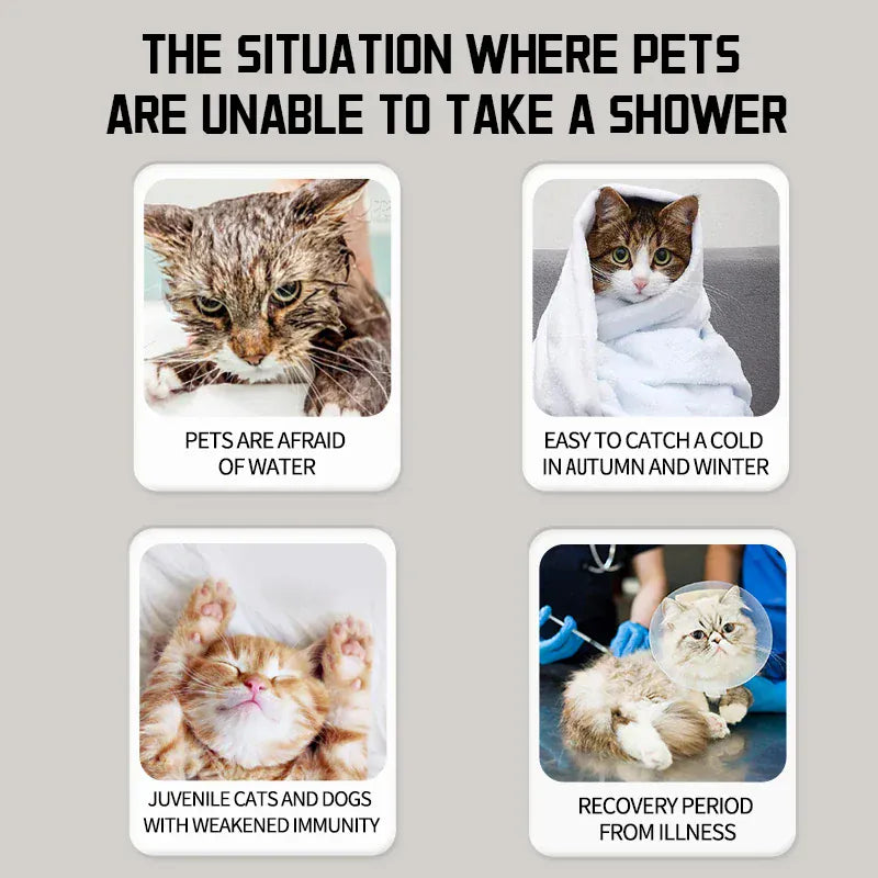 Dry Cleaning Foam for Dogs & Cats | Leave-In Body Wash for Pets | Decontamination & Unscented Fragrance Pet Grooming Foam
