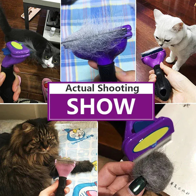 Dual-Sided Pet Grooming Brush - Hair Removal Comb for Cats & Dogs