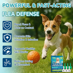 Flea and Tick Prevention Drops for Small Dogs – 6-Month Supply, Topical Treatment for Dogs 5-22 lbs