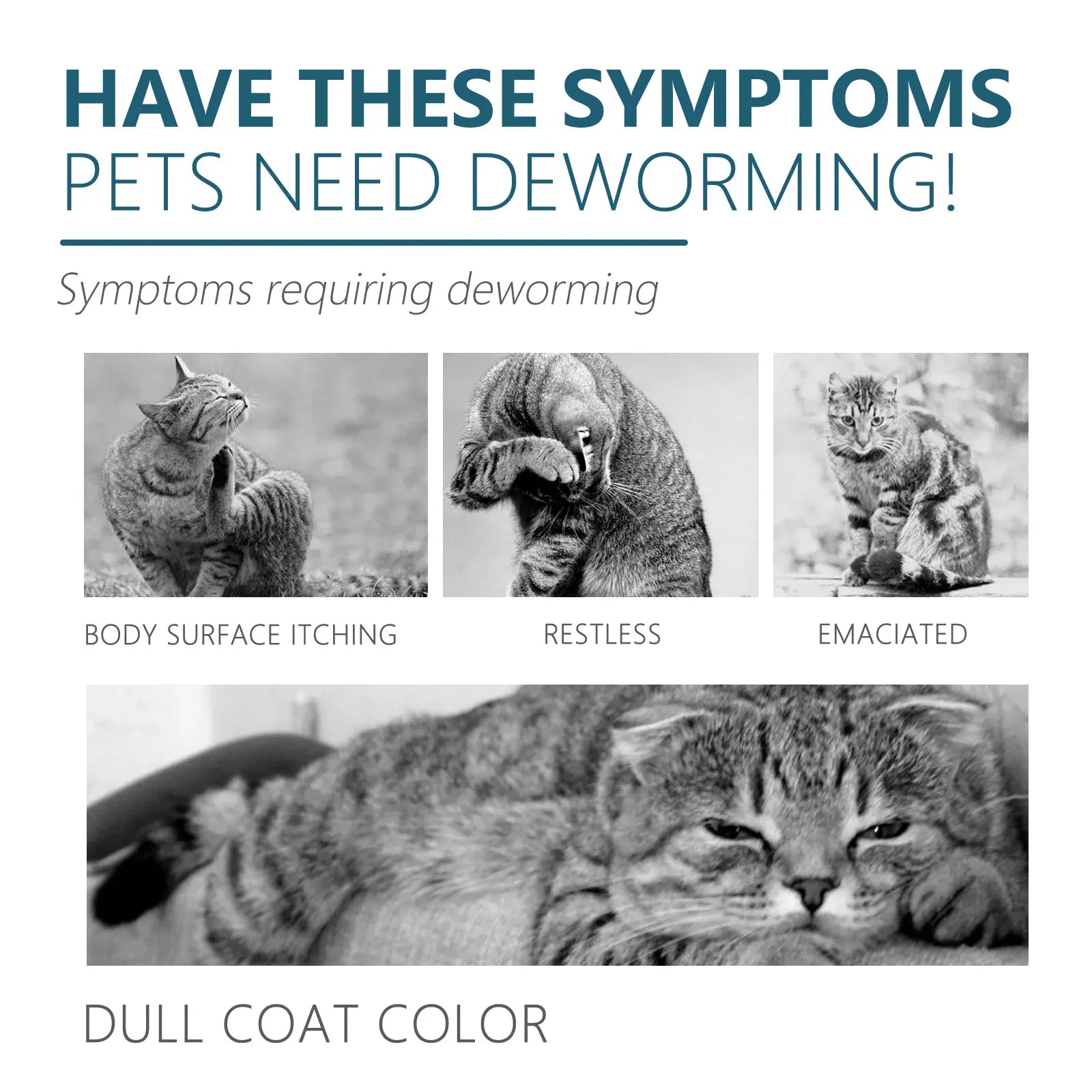 Flea & Tick Drops for Dogs & Cats - Monthly Prevention Treatment & Control