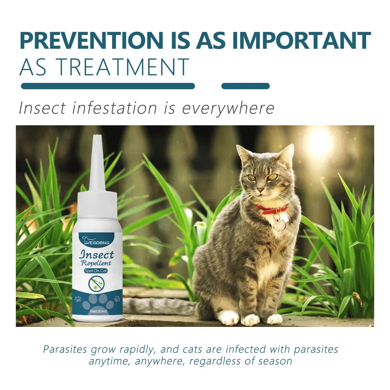 Flea & Tick Drops for Dogs & Cats - Monthly Prevention Treatment & Control
