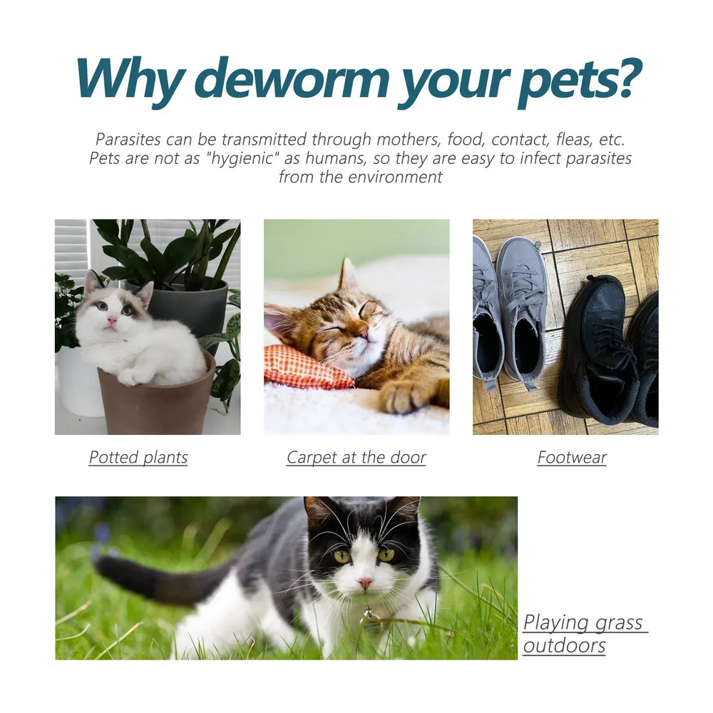 Flea & Tick Drops for Dogs & Cats - Monthly Prevention Treatment & Control