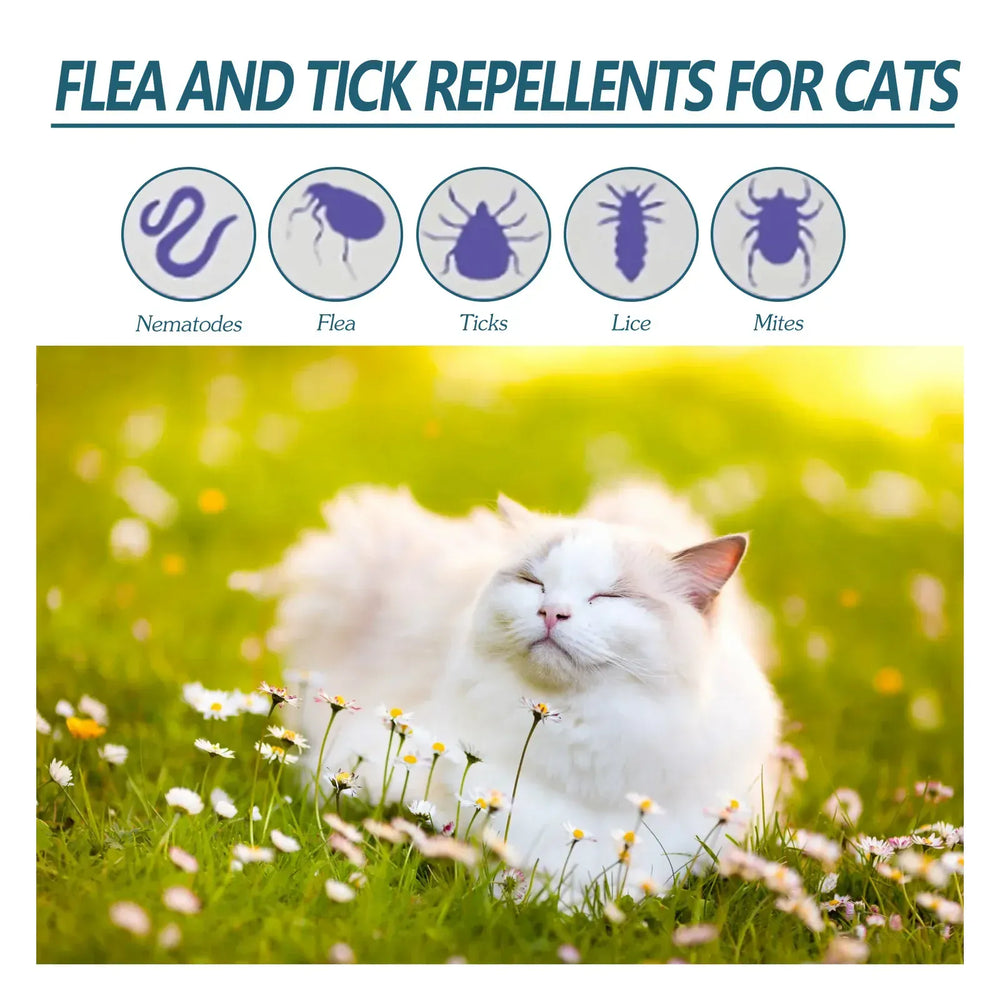 Flea & Tick Drops for Dogs & Cats - Monthly Prevention Treatment & Control