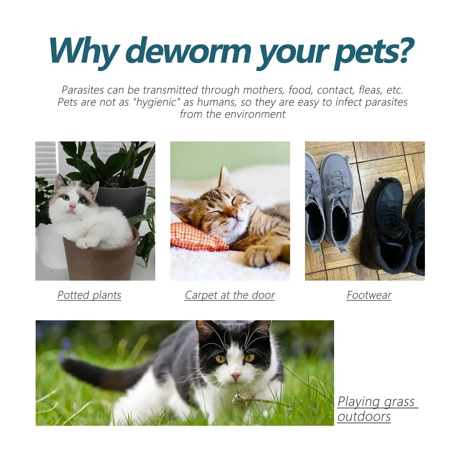 Flea & Tick Drops for Dogs & Cats - Monthly Prevention Treatment & Control