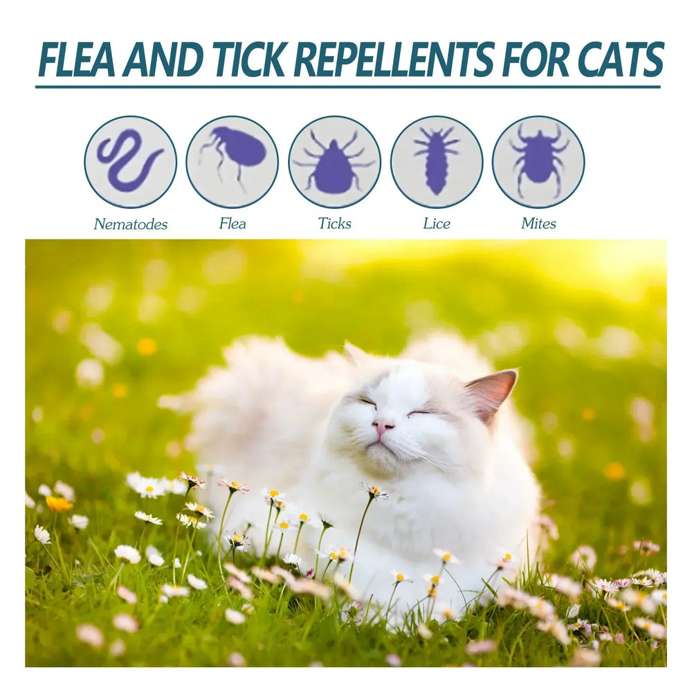 Flea & Tick Drops for Dogs & Cats - Monthly Prevention Treatment & Control