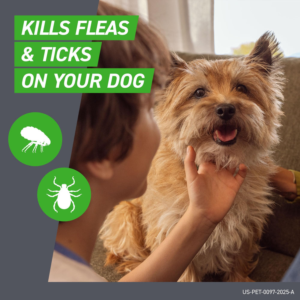 FRONTLINE Plus for Small Dogs (5-22 lbs) – Flea & Tick Treatment, 6-Month Supply