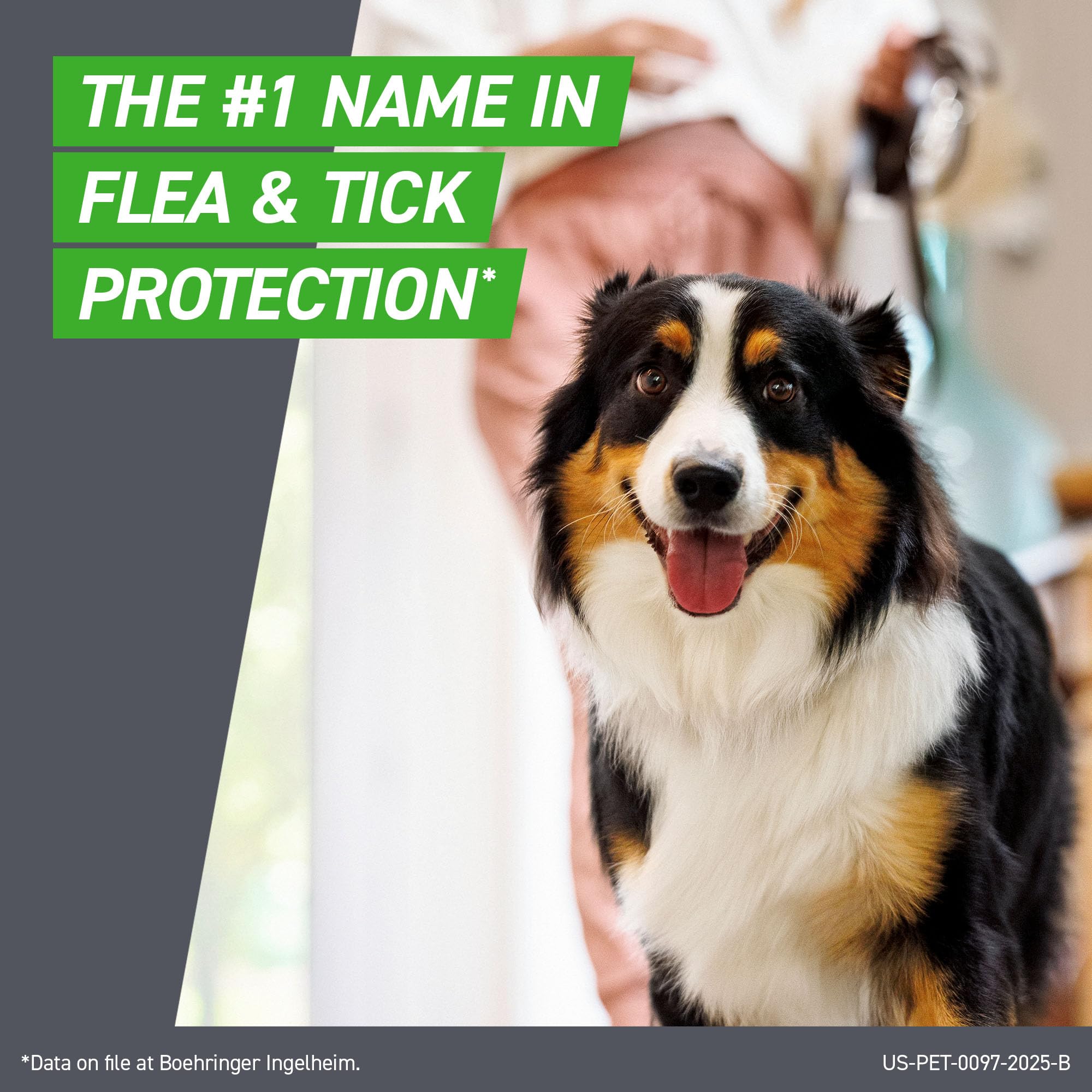 FRONTLINE Plus for Small Dogs (5-22 lbs) – Flea & Tick Treatment, 6-Month Supply