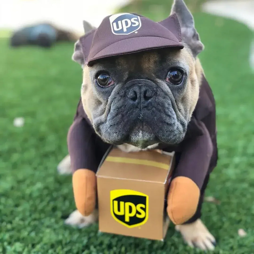 Funny Pet Courier Costume – Role Play Cosplay Outfit for Dogs & Cats