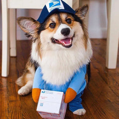 Funny Pet Courier Costume – Role Play Cosplay Outfit for Dogs & Cats