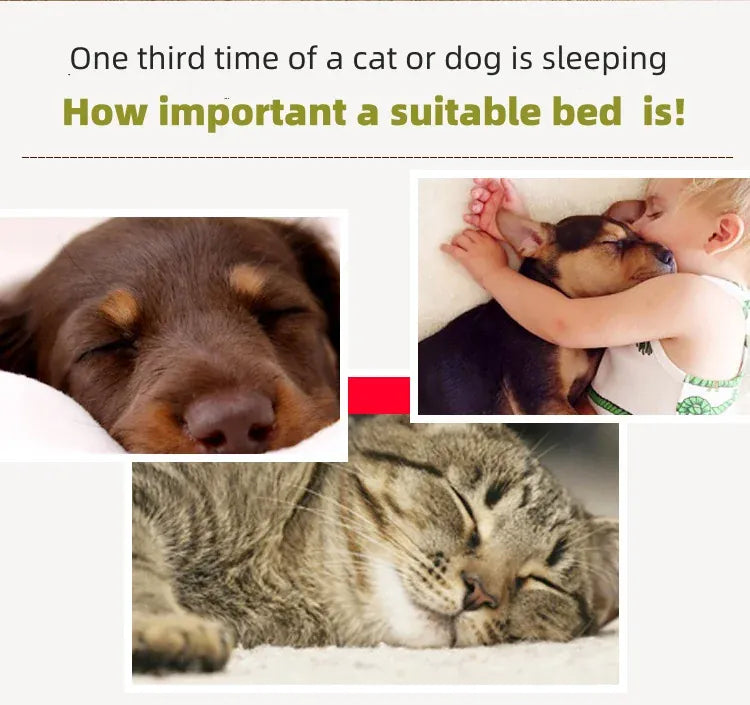 Giant Plush Human Dog Bed - Foldable Bean Bag for Adults & Pets