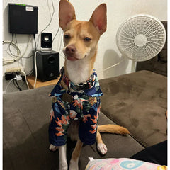 Hawaii Summer Dogs T Shirt For French Bulldog Chihuahua Clothes For Small Dogs Puppy Vest Yorkie Clothing Cats Pet Products
