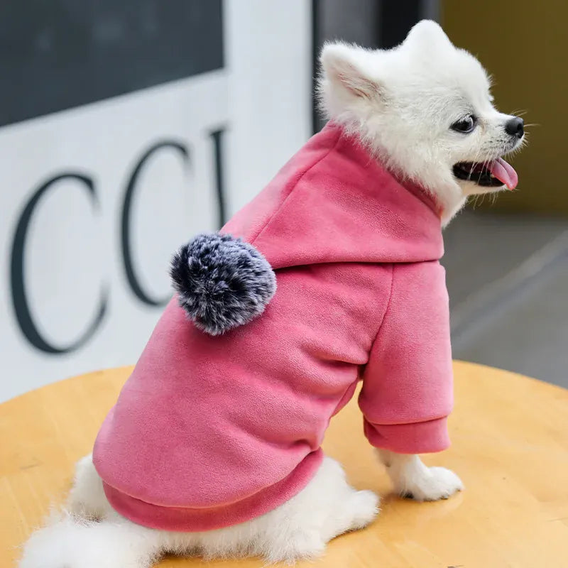 Hooded Velvet Dog Sweater - Cartoon Two-Leg Pet Jacket for All Seasons