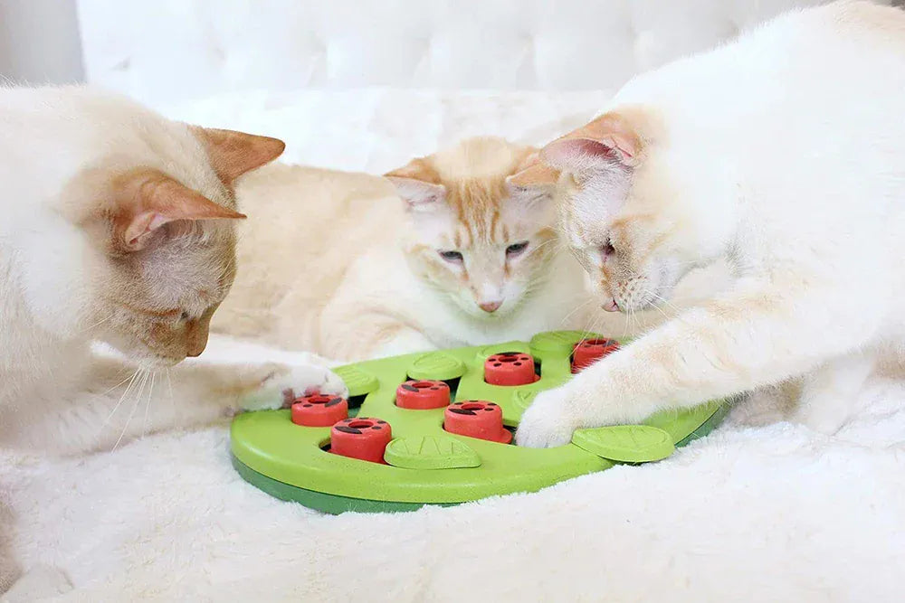 Interactive Cat Treat Puzzle - Food Dispensing Toy Mental Stimulation Game