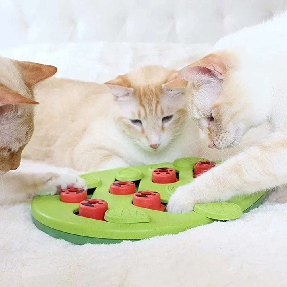 Interactive Cat Treat Puzzle - Food Dispensing Toy Mental Stimulation Game
