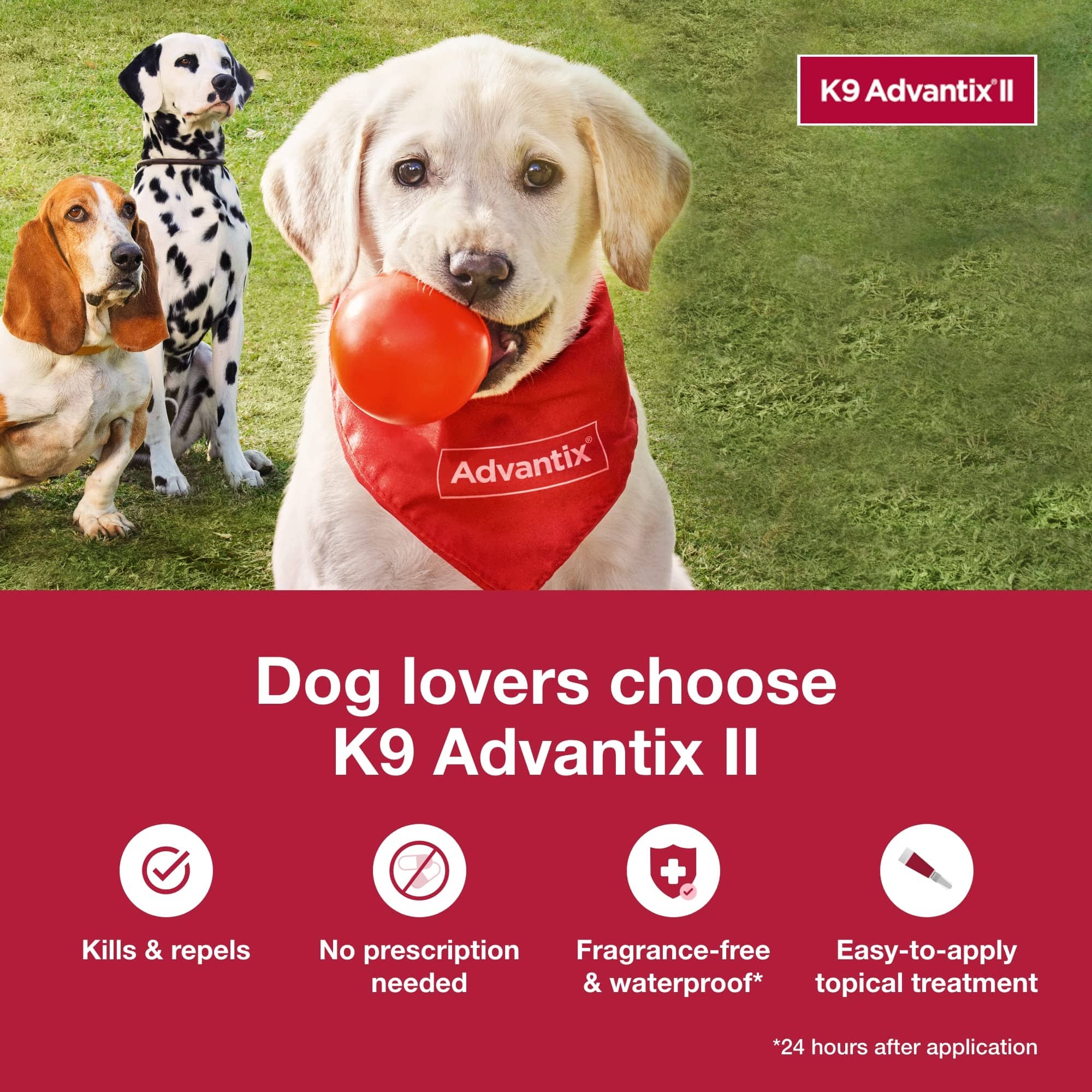 K9 Advantix II Large Dog – Vet-Recommended Flea, Tick & Mosquito Treatment for Dogs 21-55 lbs, 4-Month Supply