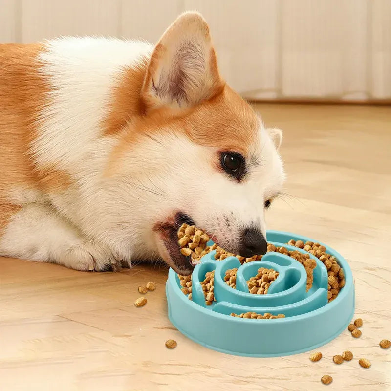Maze Pattern Slow Feeder Bowl - Anti-Gulping Puzzle Dish for Dogs & Cats