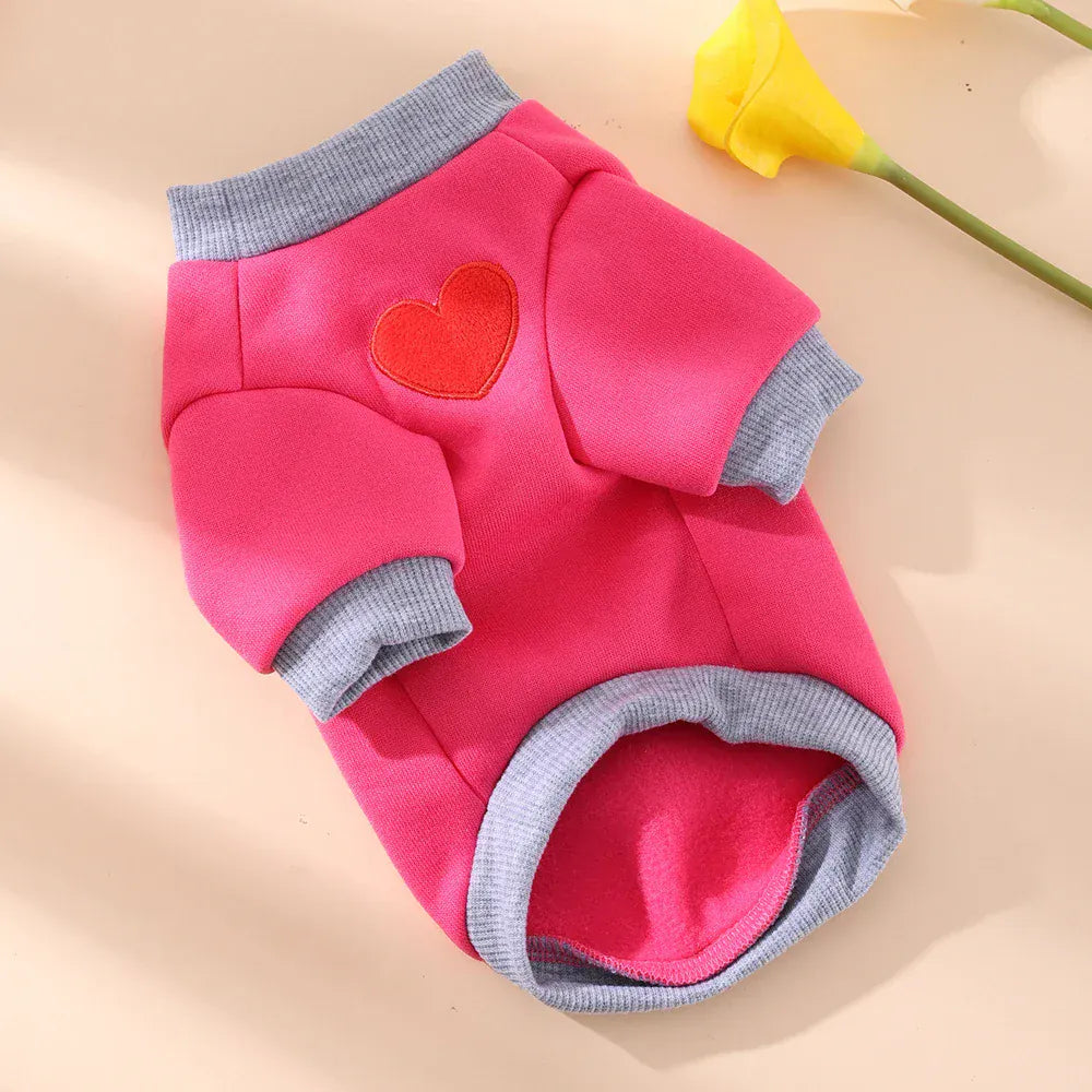 Medium Cat Sweater & Small Dog Hoodie | Winter Warm Thickened Pet Clothes | Cute Puppy Bipedal Outfit for Yorkie & Taddy