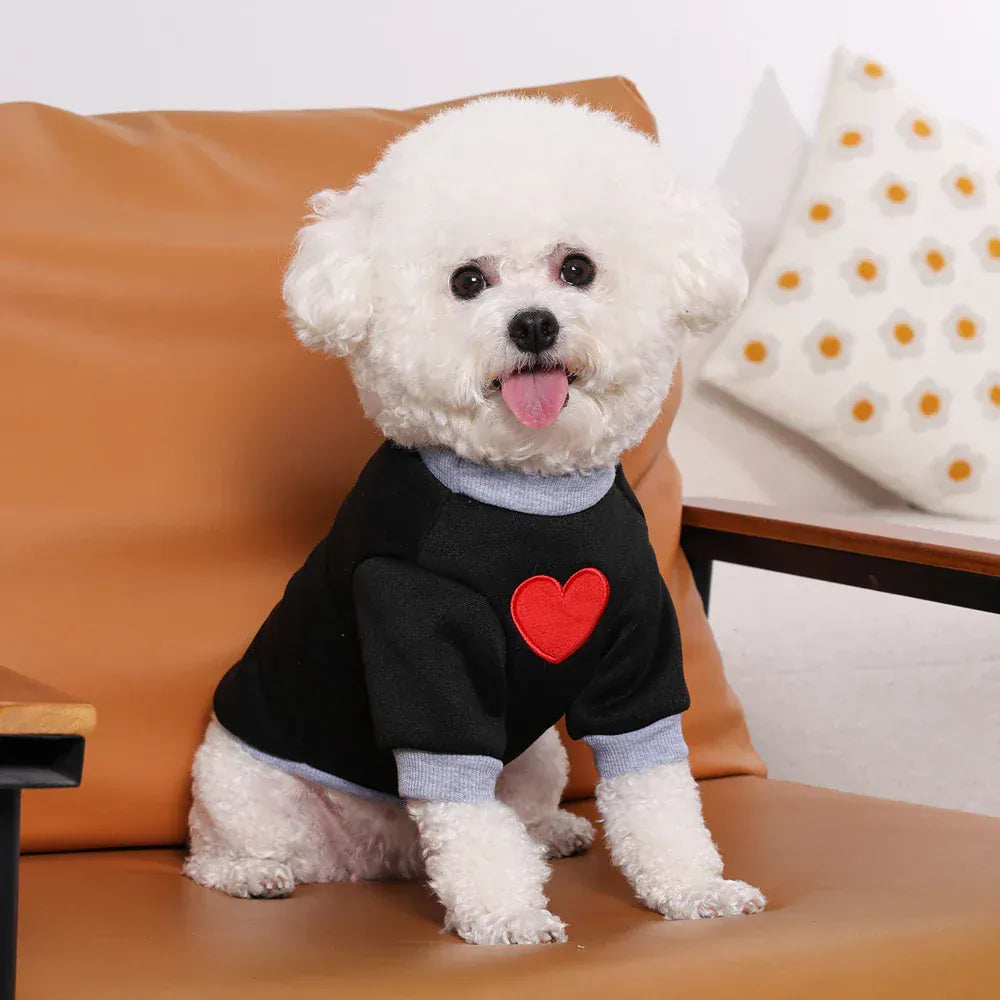 Medium Cat Sweater & Small Dog Hoodie | Winter Warm Thickened Pet Clothes | Cute Puppy Bipedal Outfit for Yorkie & Taddy
