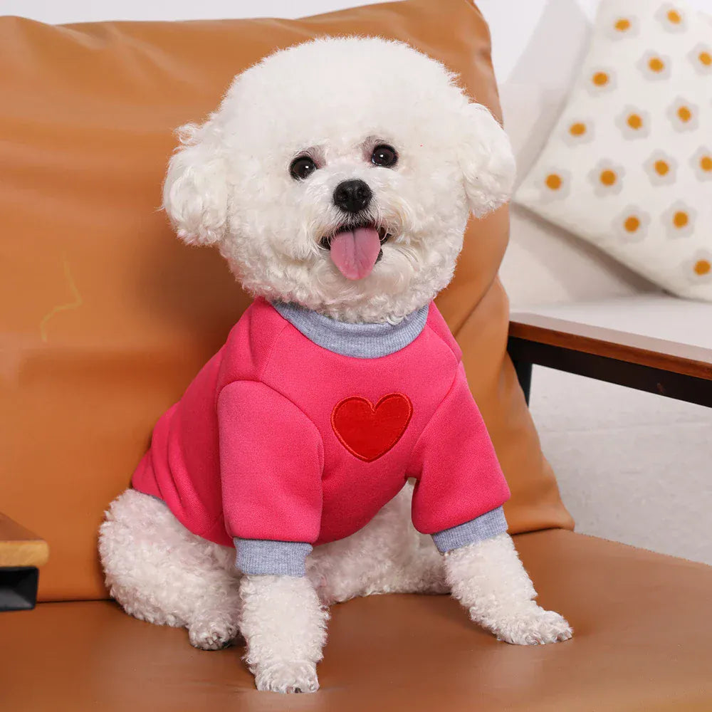 Medium Cat Sweater & Small Dog Hoodie | Winter Warm Thickened Pet Clothes | Cute Puppy Bipedal Outfit for Yorkie & Taddy