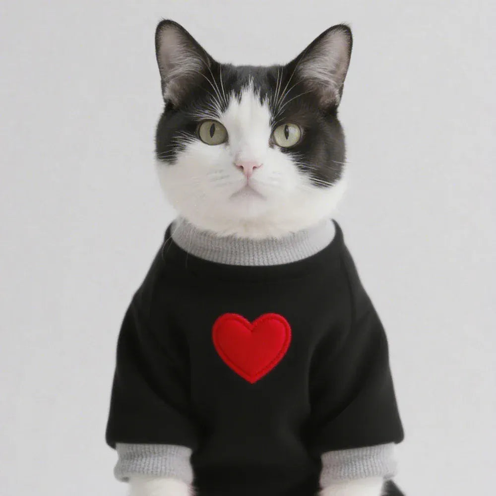 Medium Cat Sweater & Small Dog Hoodie | Winter Warm Thickened Pet Clothes | Cute Puppy Bipedal Outfit for Yorkie & Taddy