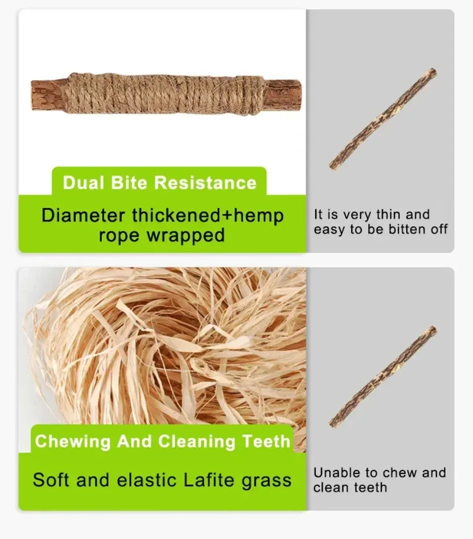 Natural Catnip Chew Sticks - Dental Health Cat Toys Silvervine Matatabi Cat Treats