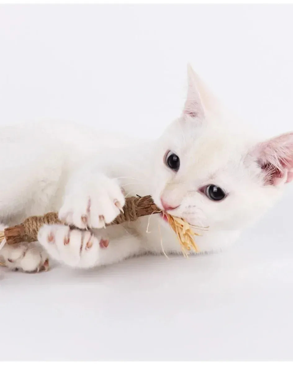 Natural Catnip Chew Sticks - Dental Health Cat Toys Silvervine Matatabi Cat Treats