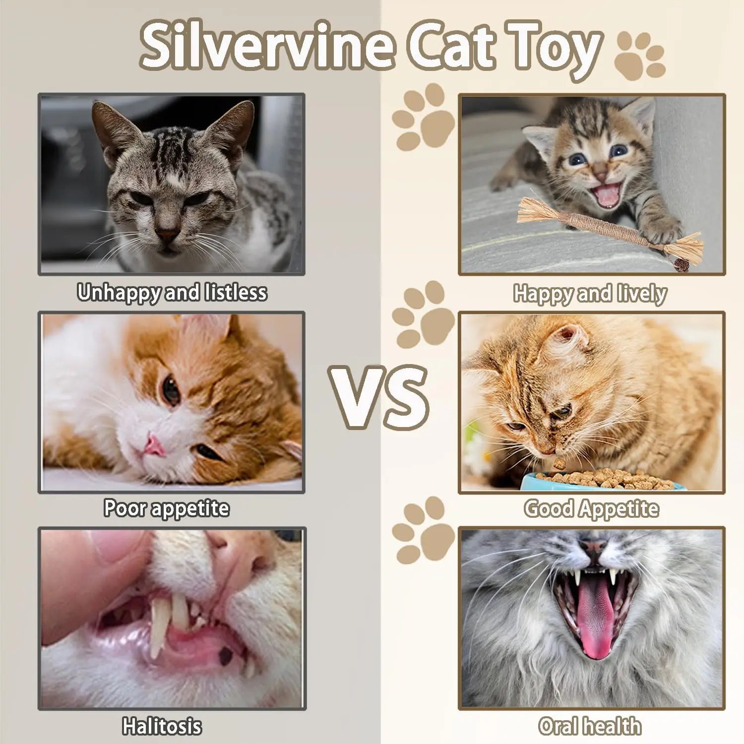 Natural Catnip Chew Sticks - Dental Health Cat Toys Silvervine Matatabi Cat Treats