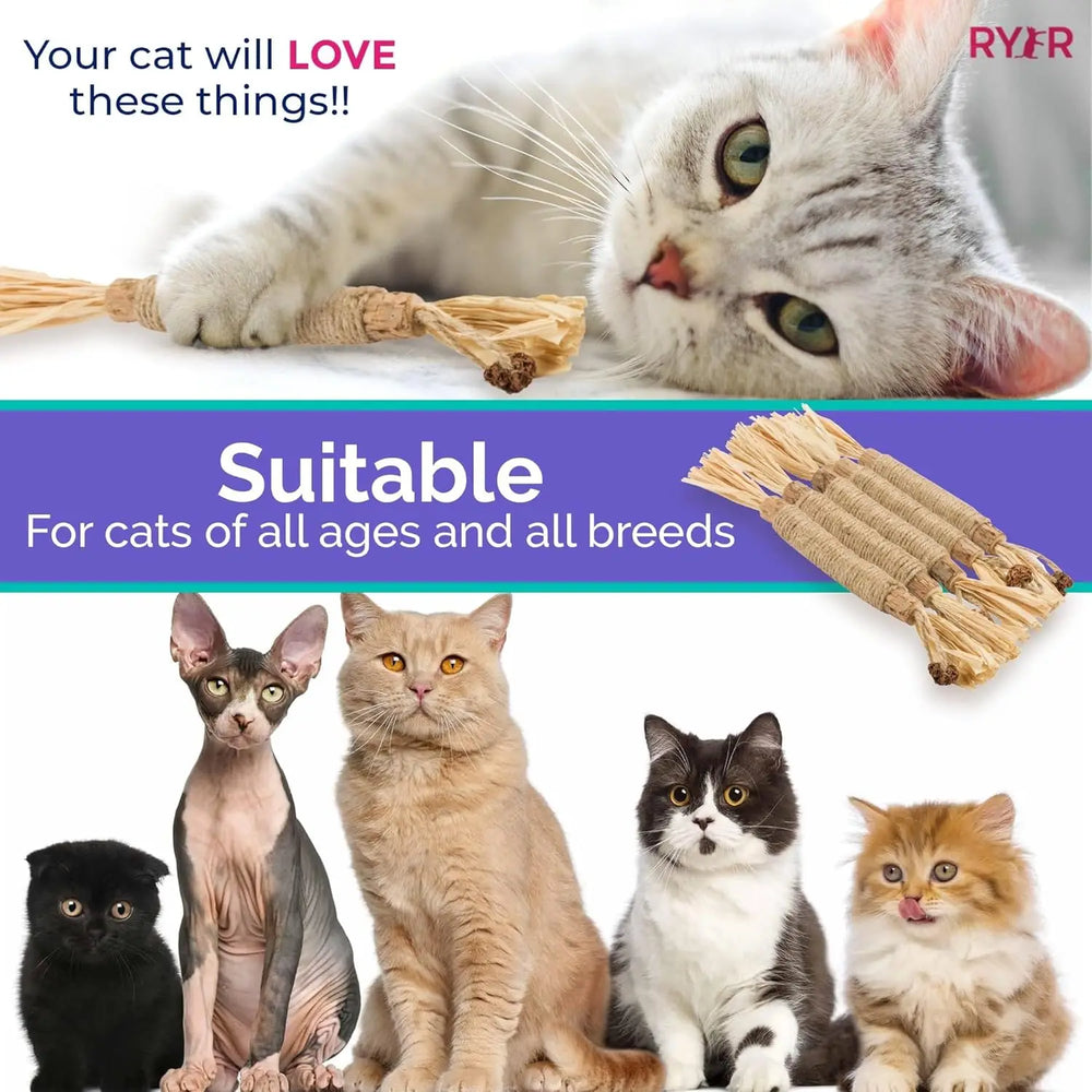 Natural Catnip Chew Sticks - Dental Health Cat Toys Silvervine Matatabi Cat Treats