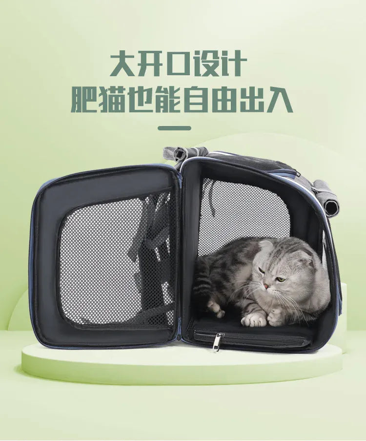 Nordic Style Pet Bike & Car Carrier – Portable Backpack for Outdoor Cycling & Travel