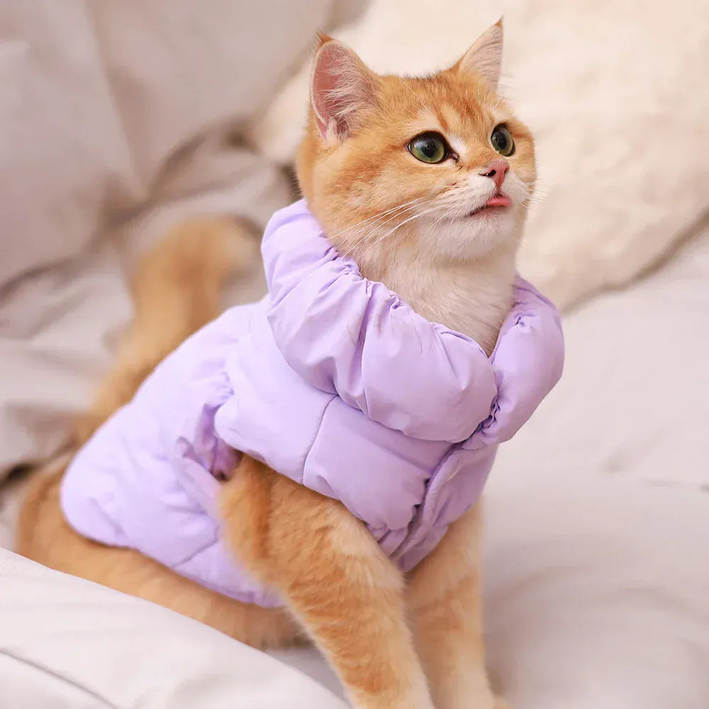 Padded Winter Dog Coat - Soft Warm Jacket for Small Breeds
