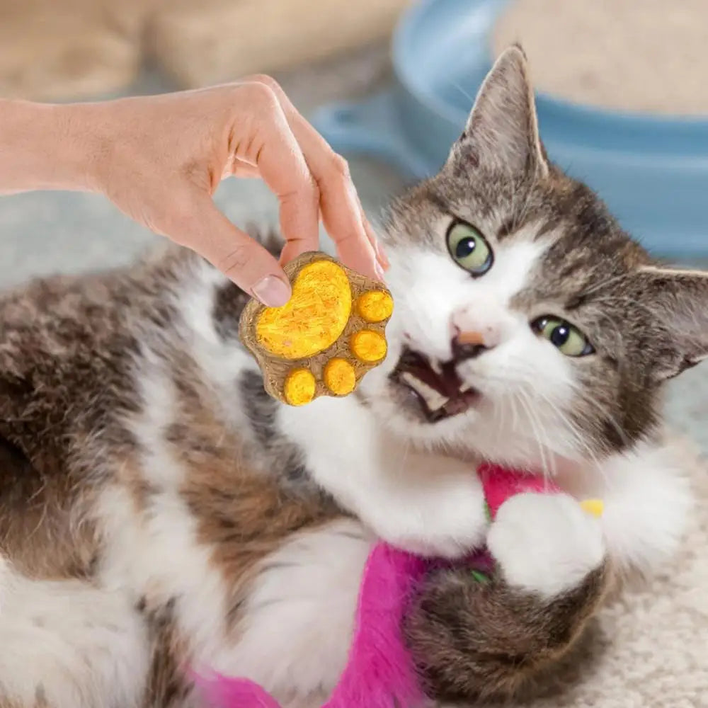 Paw Print Cat Treats - Natural Freeze-Dried Dental Health Snacks